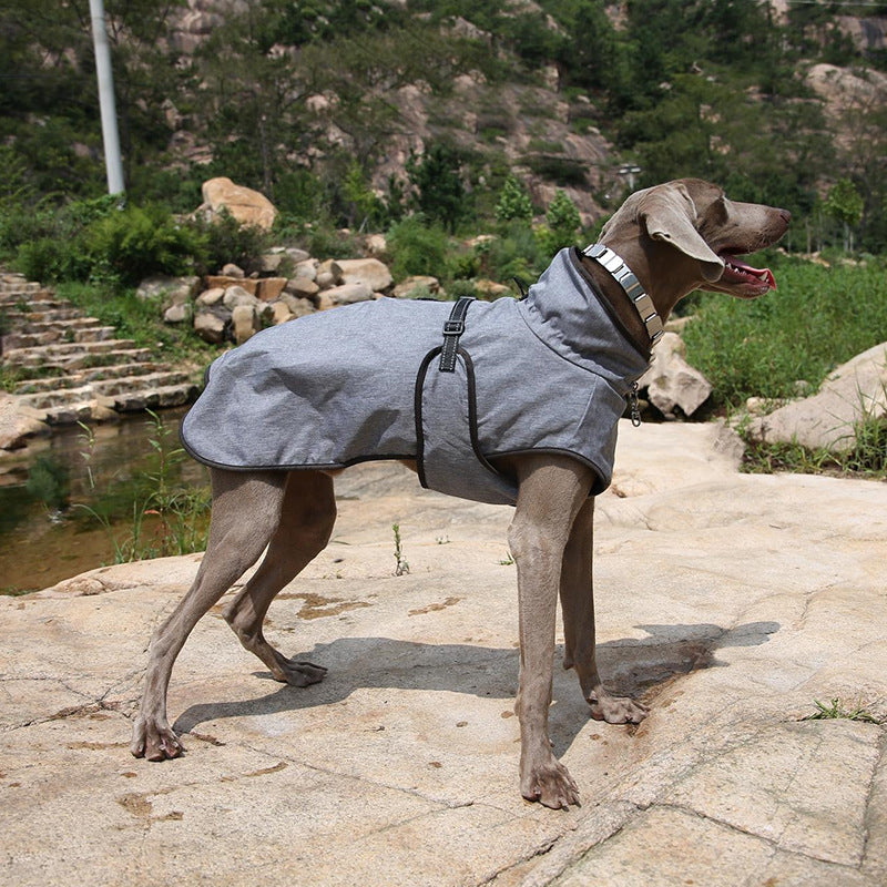 Keep Your Furry Friend Warm This Winter with Our Pet Winter Outdoor Shell Ski Jacket Suit